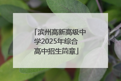 滨州高新高级中学2025年综合高中招生简章